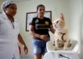 Prefeitura de Manaus abre agendamento on-line para castração de cães e gatos no castramóvel Caramelo