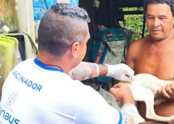 Equipes da prefeitura já vacinaram mais de 2,3 mil cães e gatos contra raiva na zona rural terrestre