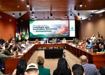 Prefeitura de Manaus participa de reunião com o governo federal para alinhar ação conjunta de combate às queimadas vindas de outros municípios e fumaça que compromete a qualidade do ar na capital