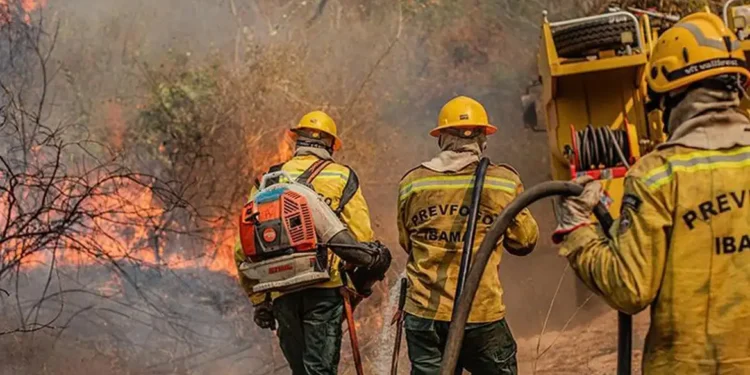 Amazonas recebe aeronaves para combater queimadas