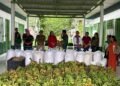 PAA Indígena entrega mais de 3 toneladas de alimentos em Eirunepé