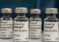 Dengue: 3 milhões de adolescentes estão com vacinação incompleta