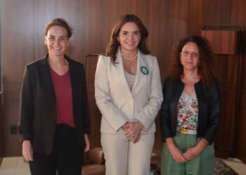 Alessandra Campelo apresenta desafios eleitorais do Amazonas a representantes da União Europeia