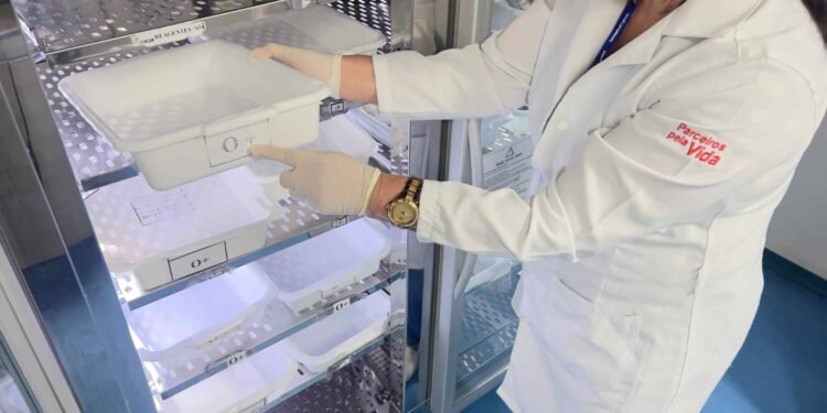 Hemoam reforça apelo por doação de sangue voluntária diante de nova portaria do Ministério da Saúde