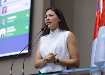 Deputada Estadual Brena Dianná solicita mutirão itinerante para ampliar atendimento às mulheres ribeirinhas do Amazonas
