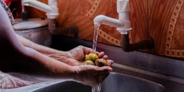 Do Rio Negro às torneiras: a história de quem ajuda a abastecer Manaus há gerações